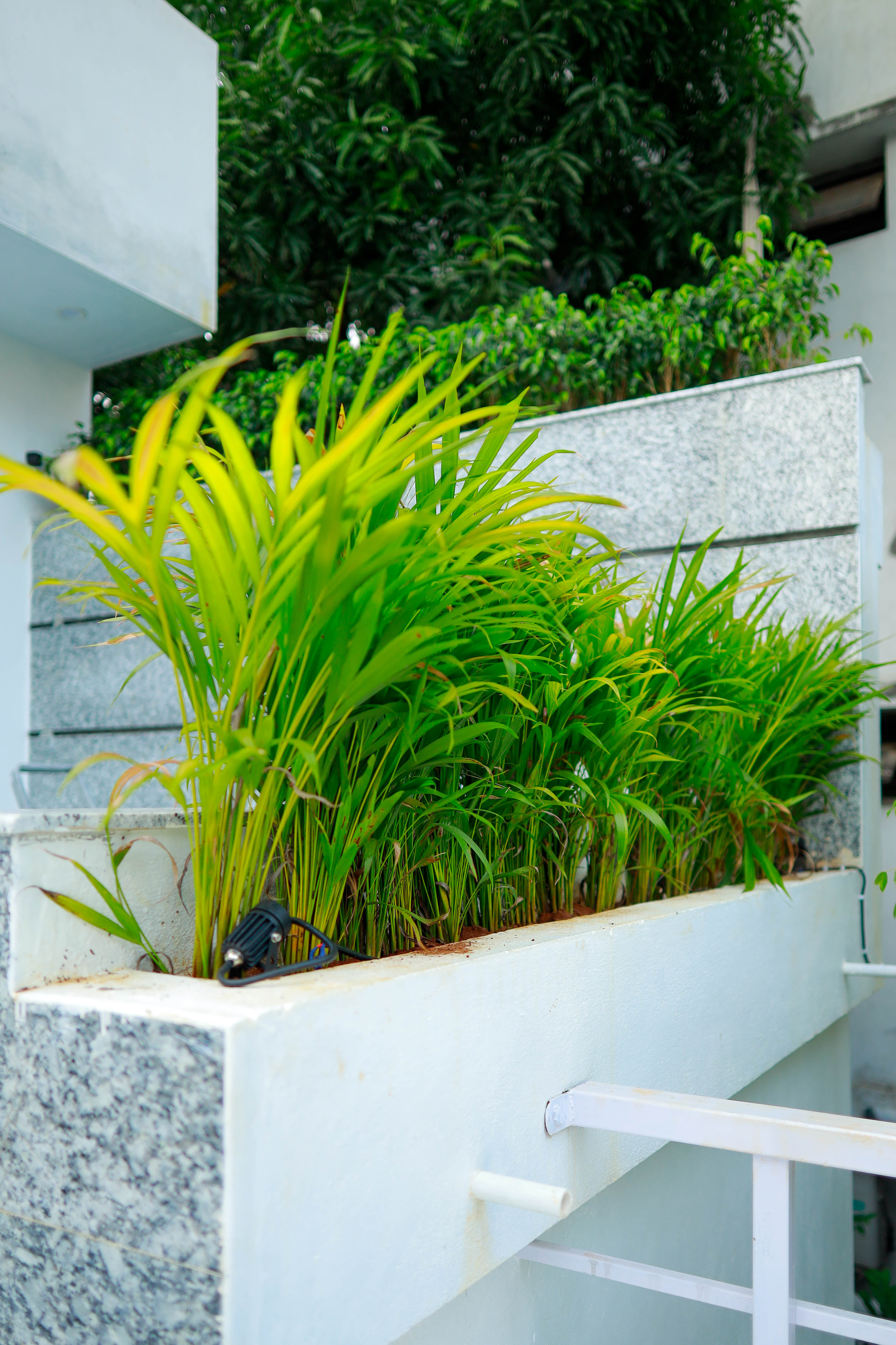 landscape architecture firms in chennai