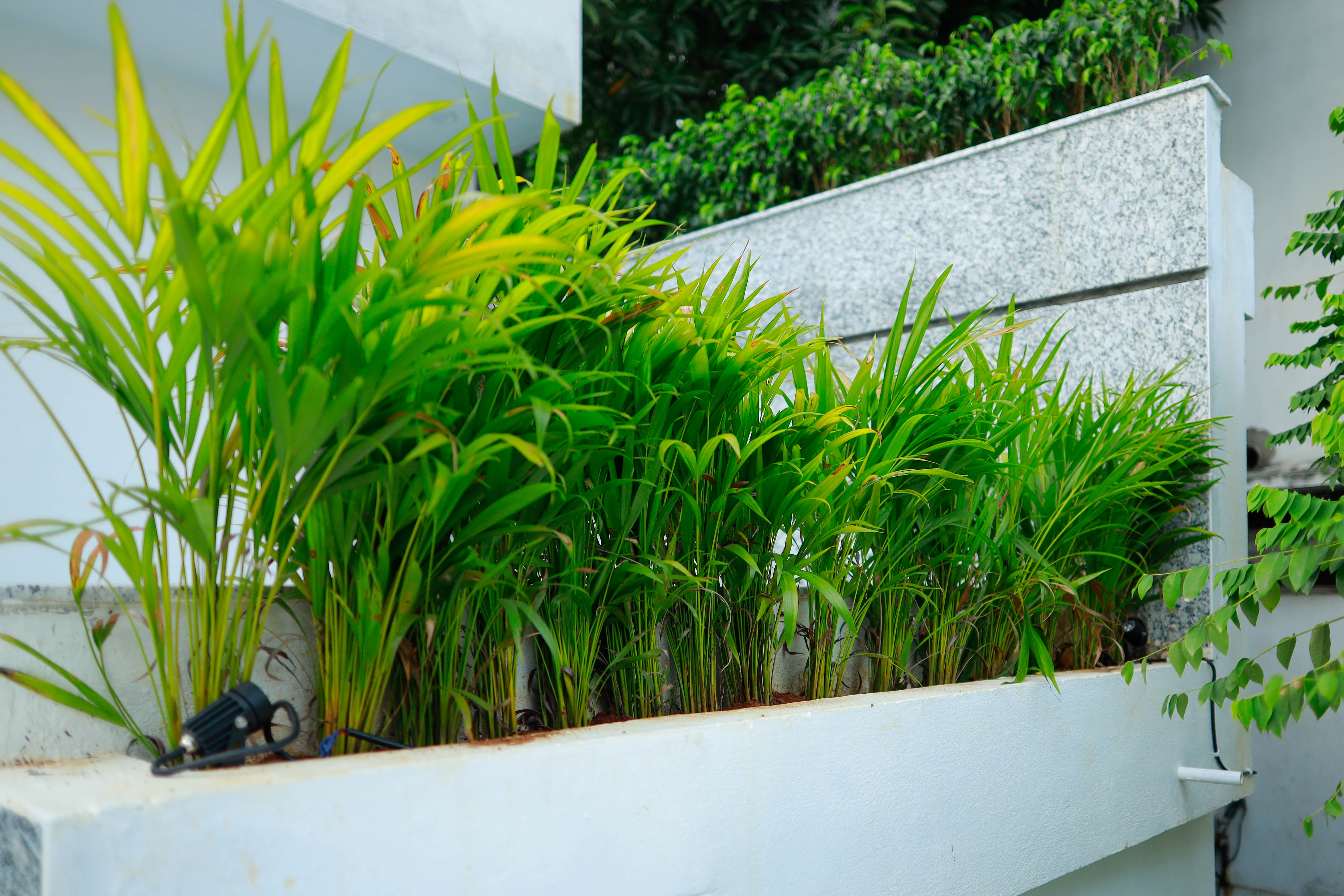 landscape contractors chennai