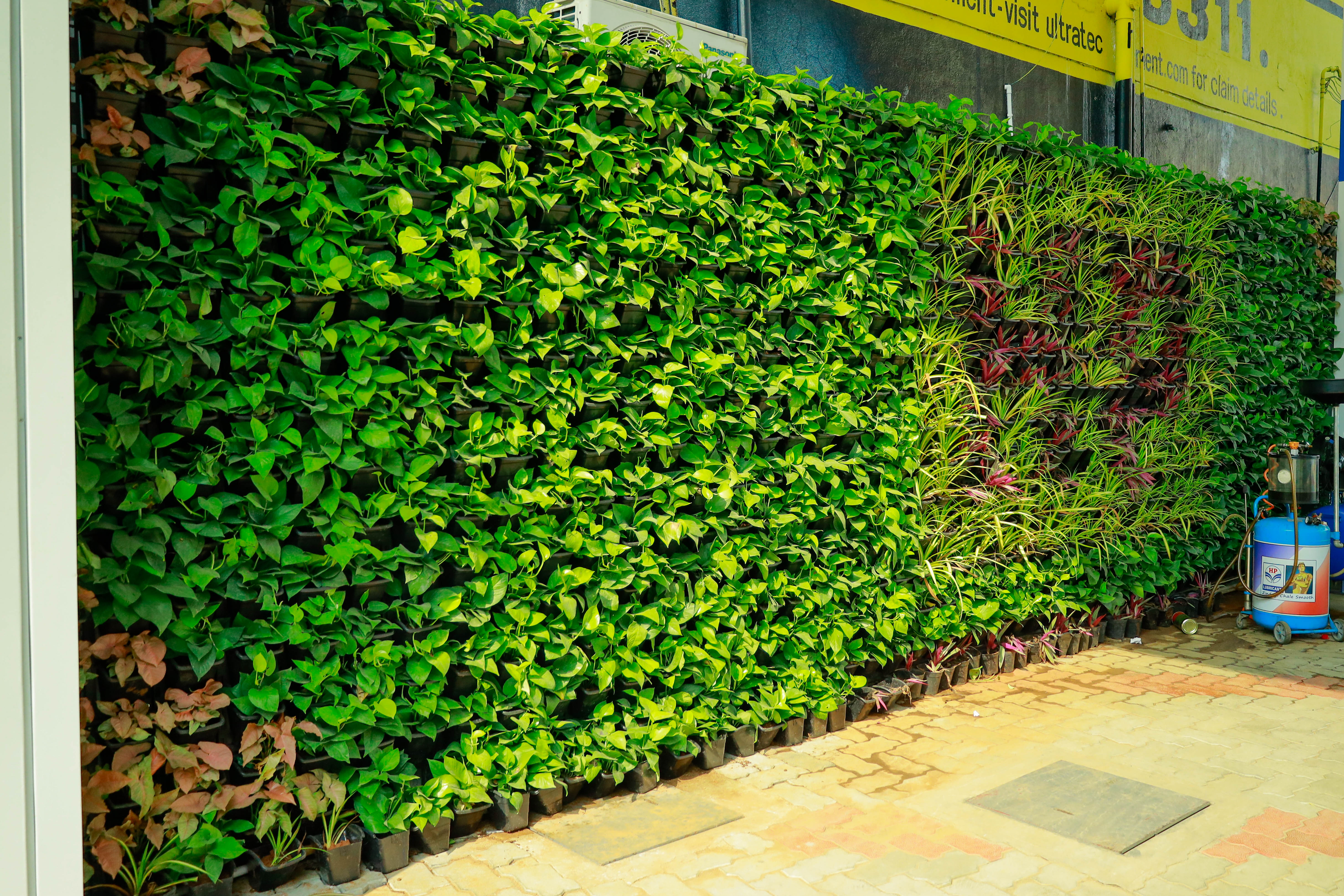 best landscaping company in chennai